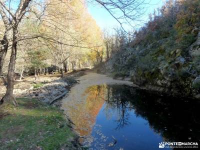 Sierra del Rincón-Río Jarama; hacer amigos madrid setas madrid monte de el pardo plataforma de gre